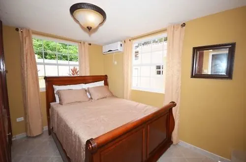 Villa Riana Barbados Christ Church 0*,